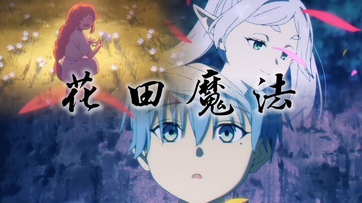 人类为什么那么爱花田魔法？