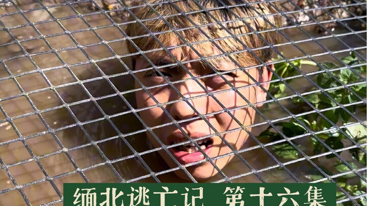 Northern Myanmar Escape Story Episode 16