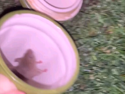 An O. Henry-Style Twist Ending