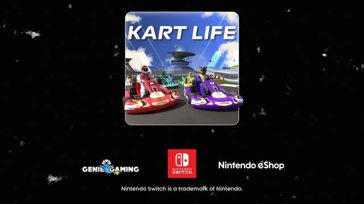 Nintendo Switch Kart Life