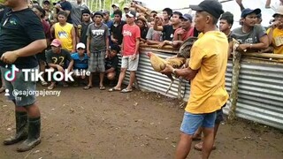 #4wins napo mga lods