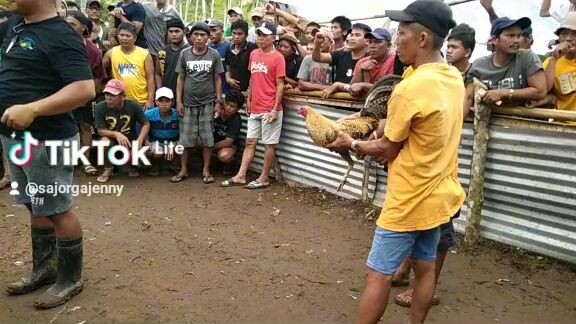 #4wins napo mga lods