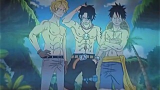 ASL ACE SABO LUFFY