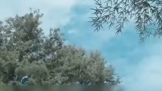 DI KISAHNYA SEPASANG KEKASIH YANG AWALNYA DI REMEHKAN TAPI SEKARANG DI HORMATI SEMUA ORANG!!