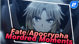 Fate/Apocrypha Cut | Mordred Moments Cut_B2