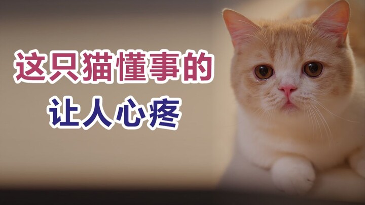 Forcing a child to grow up too soon is the cruelest thing.