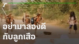 อย่ามาลองดีกับลูกเสือ | 03-11-64 | ตะลอนข่าว