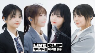 田小娟好会写！QWER全开麦女子乐队《My Name Is Malguem》Live！