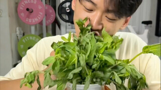 挑战一天只吃薄荷
