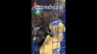 เสียงพี่อบอุ่นมากกก😂😂😂