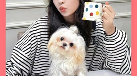 #ไป๋ลู่ กลับมาเล่นอินเทอร์เน็ตแล้วพอเห็นภาพต้นฉบับของหนิงหนิงก็ถึงกับตาลาย #สัตว์เลี้ยงน่ารัก #เวทีม