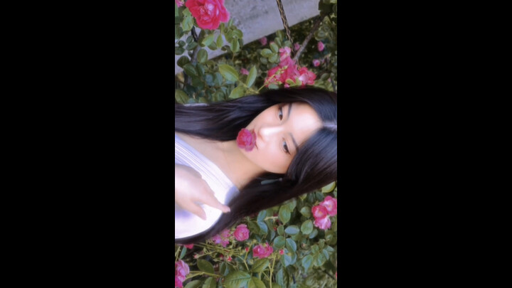I hope you can shine as brilliantly as a rose.