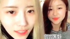 170427 캐나다는 좋겠다..벱솔과 미듀 있어서..(Babysoul & Mijoo in Canada)