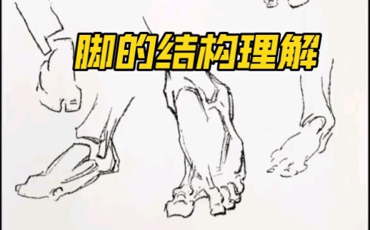 Pemahaman tentang struktur kaki!