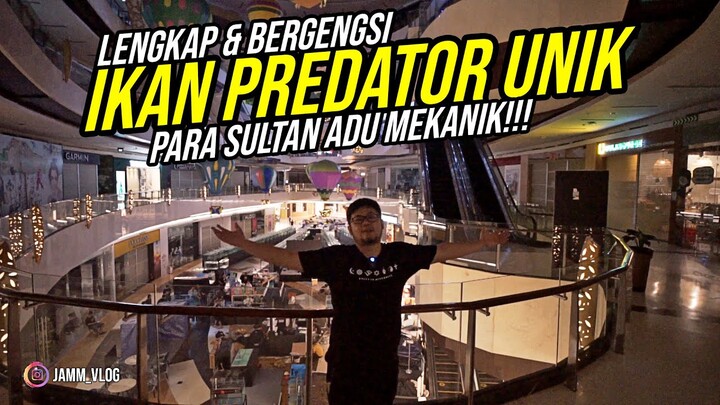 LAST CALL HOBBIES IKAN PREDATOR!!! - PAMERAN IKAN PREDATOR BERGENGSI 2022 DI JAKARTA!!!