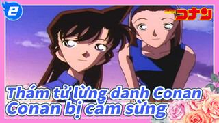 Thám tử lừng danh Conan|[Conan bị cắm sừng】Về Ran và Ai_2