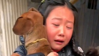 สุนัข: "คราวนี้อย่าเสียฉันไปอีก"