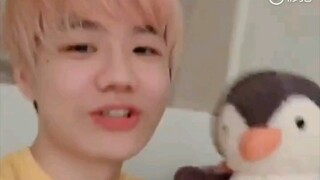 【刘青松】最后一次粉头发/介绍屁桃哈士奇企鹅—自留