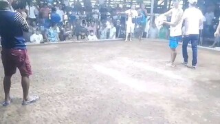 infinity blacks