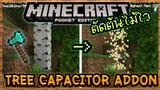 Minecraft PE ตัดต้นไม้ใวในพริบตาไม่ง้อ Mod | Tree Capacitor Addon