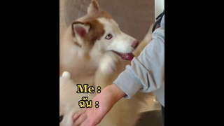 ก็มันกอดไม่ถึงไง🥺 โดนแกงแล้ว1🤣