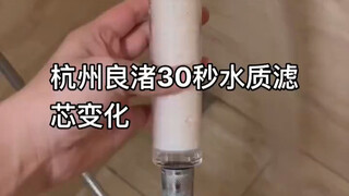 杭州余杭自来水污染，有网友拿滤芯做了下实验，短短三十秒水质变化一目了然