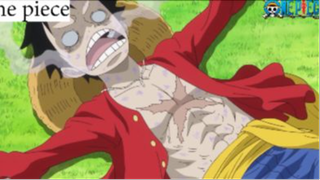 Tí thì lên trầu ông bà #Onepiece