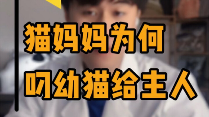 猫妈妈为什么选择把猫崽叼给主人