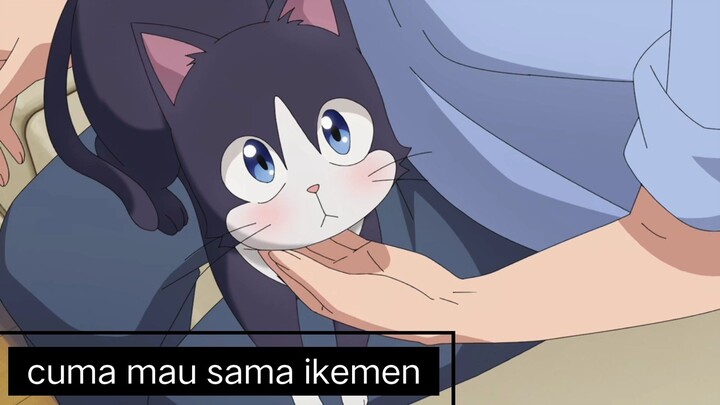 #KompetisiKreasiUnggahan3 , kucing jadi2an ini gamau disentuh