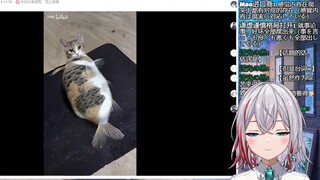 日本天然小姐姐看《这猫怎么鱼里鱼气的啊》