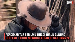 PENDEKAR TUA KEMBALI BRUTAL SETELAH 18THN MENINGKATKAN KESAKTIANNYA - ALUR CERITA FILM