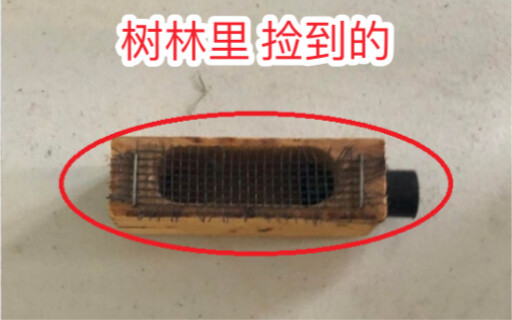 Dù bạn hỏi gì, cư dân mạng đa năng cũng có thể giải đáp cho bạn (172)