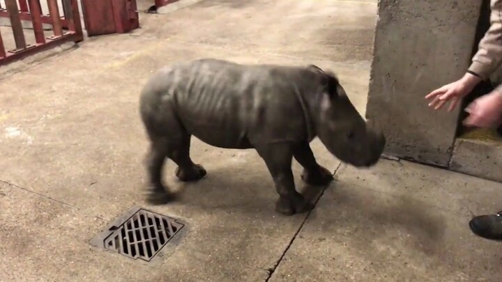 Maze, you beast, let me get to know you!