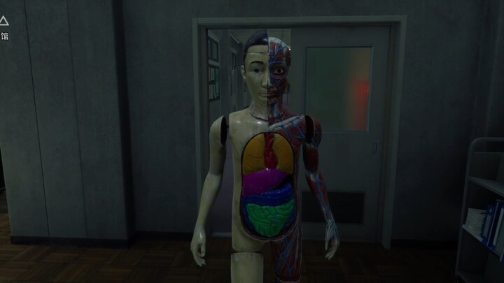 Creepy Dolls Haunt the Campus Late at Night!