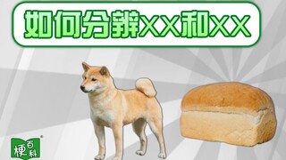 【梗百科】干货！如何分辨xx和xx是啥梗？