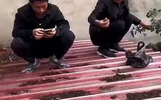 Pria tetaplah seorang anak muda hingga akhir hayat.