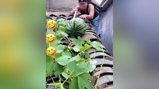 🤣🤣🤣xuhuongtiktok❤️🙆‍♀️ xuhuong tiktok hàihướcvuinhộn haihuoc cuoibebung cườikhôngnhặtđượcmồm emsetrove_benanh