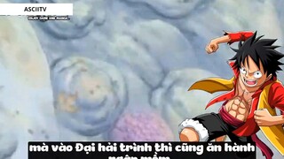 Top 8 Người Vô Tình _Ăn_ Trái Ác Quỷ trong One Piece #18 7