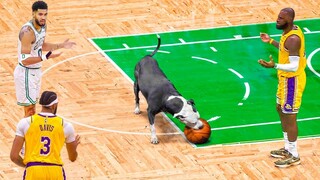 Weirdest Moments in NBA History..