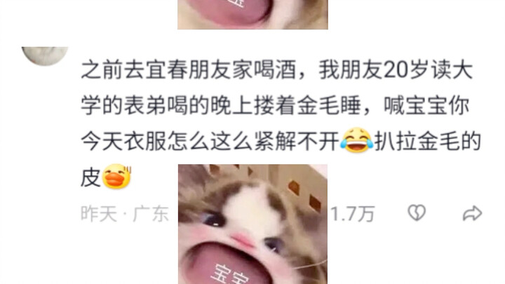 【Two Bilibili Marketing Accounts】My latest work—come check it out!
