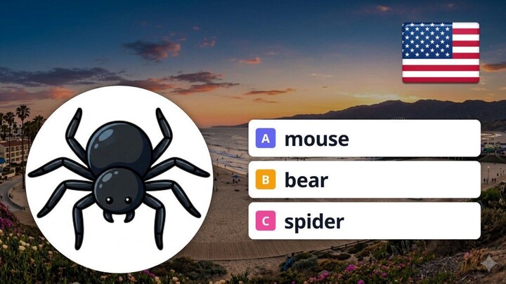 English Vocabulary Quiz: Can You Name These 4 Objects & Materials?