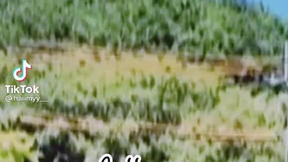 chân ổng ngắn mà ổng chạy nhanh ghê ak 🤣🤣🤣