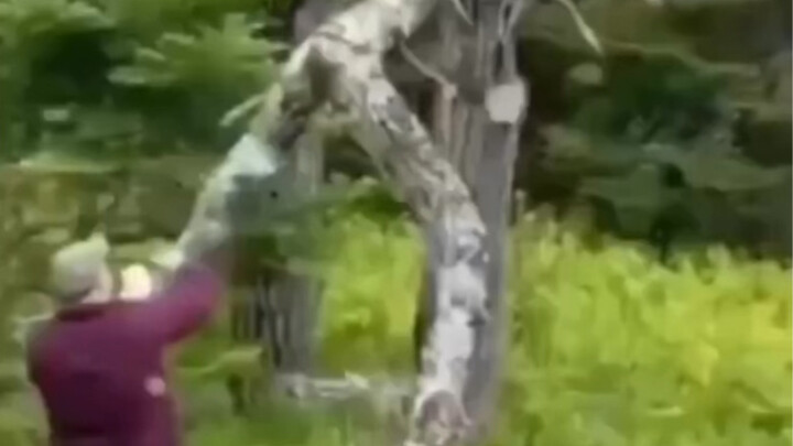 สิ่งที่แม่ธรรมชาติได้บันดาลออกมาเนี่ยนะ?