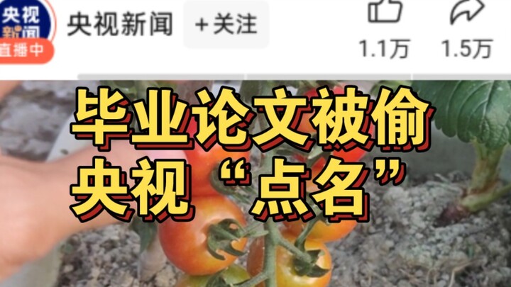 عشر سنوات من الزراعة لم يعرف بها أحد، لكن بمجرد نشر رسالة التخرج فجأة أصبحت معروفة للجميع. أشارك هنا