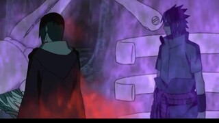 你们认为此时的仙人兜实力如何