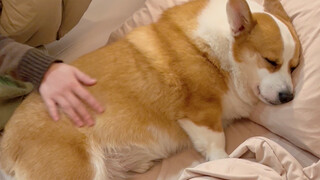 爱是常觉亏欠，不是常觉亏本！