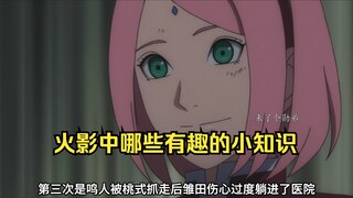 火影中那些有趣的小知识，刚入坑的你就学吧，一学一个不吱声