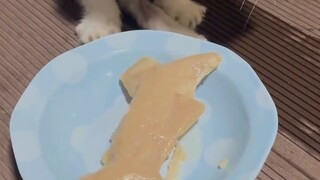Apa bedanya Robin ini dengan pembuat onar...