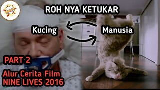 Roh Seorang Pria Terjebak di Tubuh Kucing - Rekap Alur Film NINE LIVES 2016 (part2)