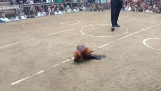 SMC ENTRY NAME URBAN KNIGHTS 3RD FIGHT